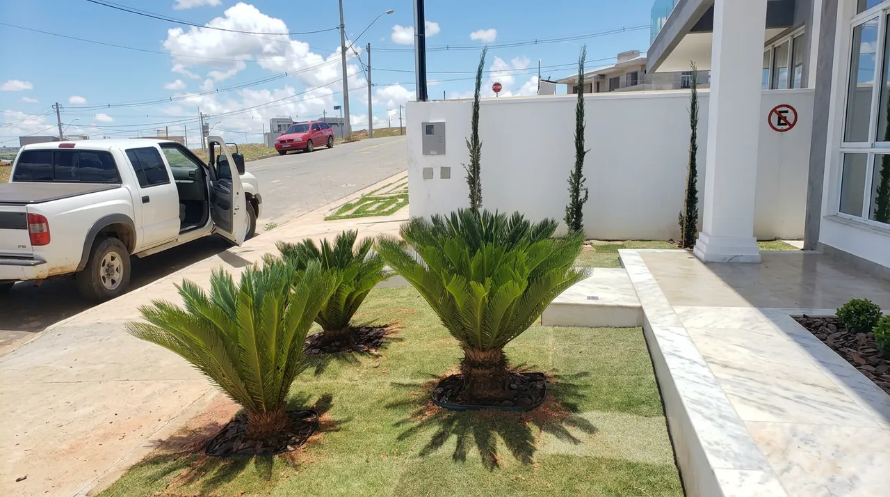 Projeto Paisagistico Link Plantas, tuias lindas plantadas de 1 metro