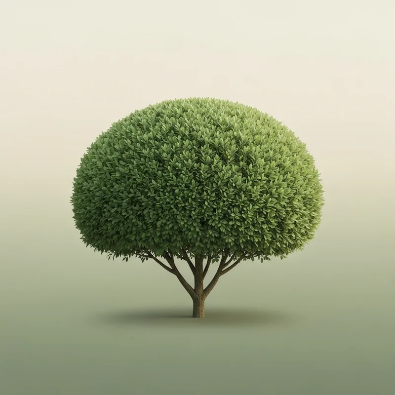 Emblema da categoria Ornamentais de mudas e plantas do viveiro Link Plantas